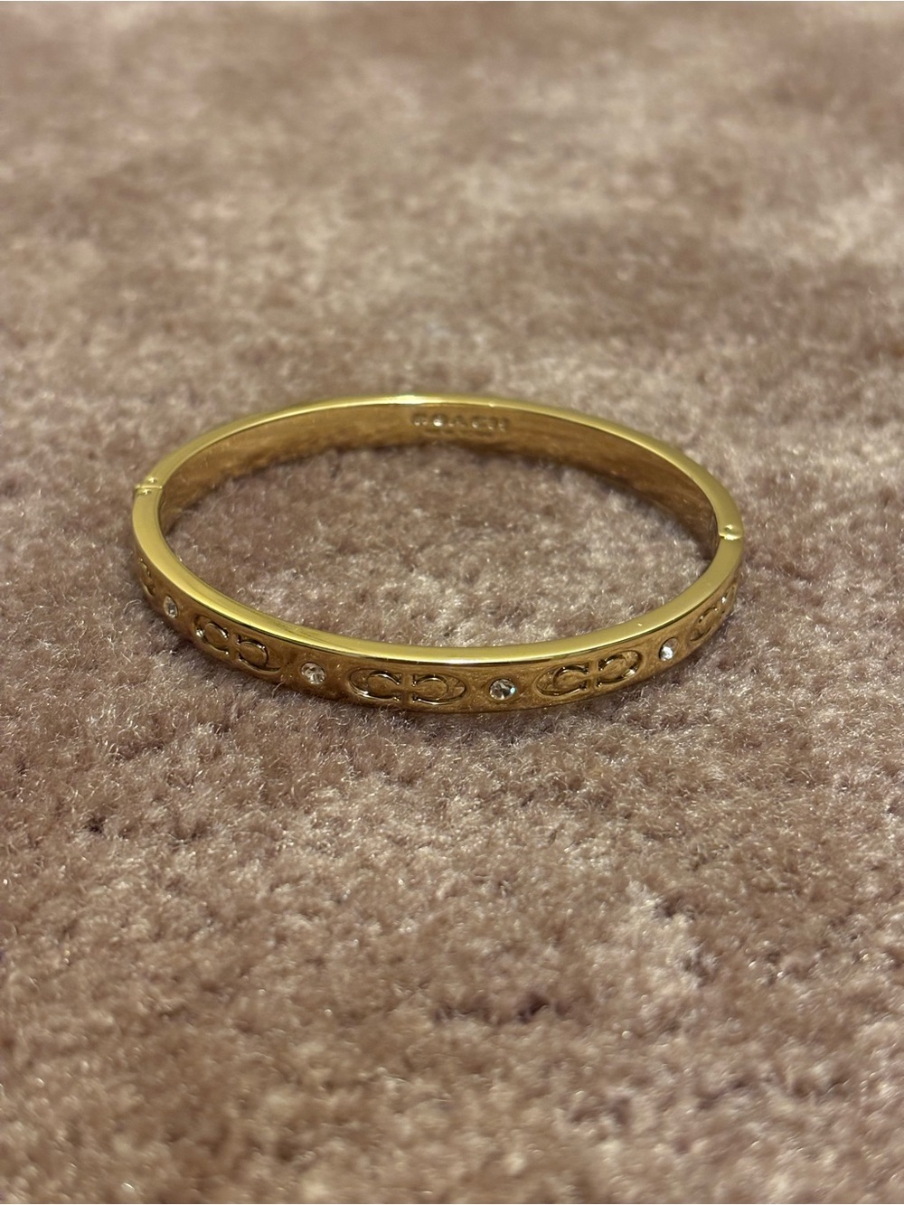 hinged coach bangle